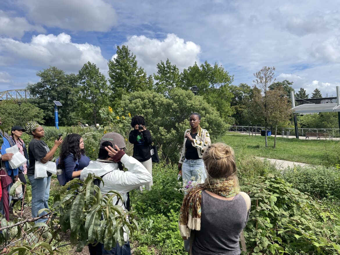 What New York’s Only Legal Foraging Space Reveals About Climate and Access